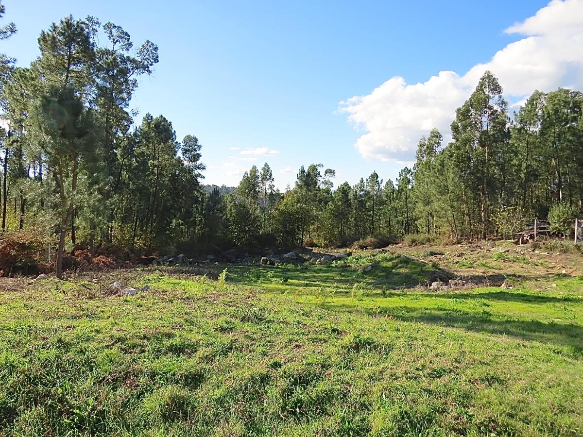 Terreno | Bico | Amares