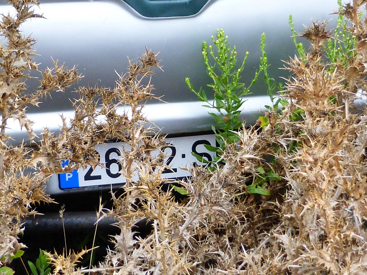 LIGEIRO MERCADORIAS | MITSUBISHI 