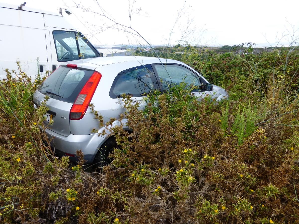 LIGEIRO MERCADORIAS | FORD 