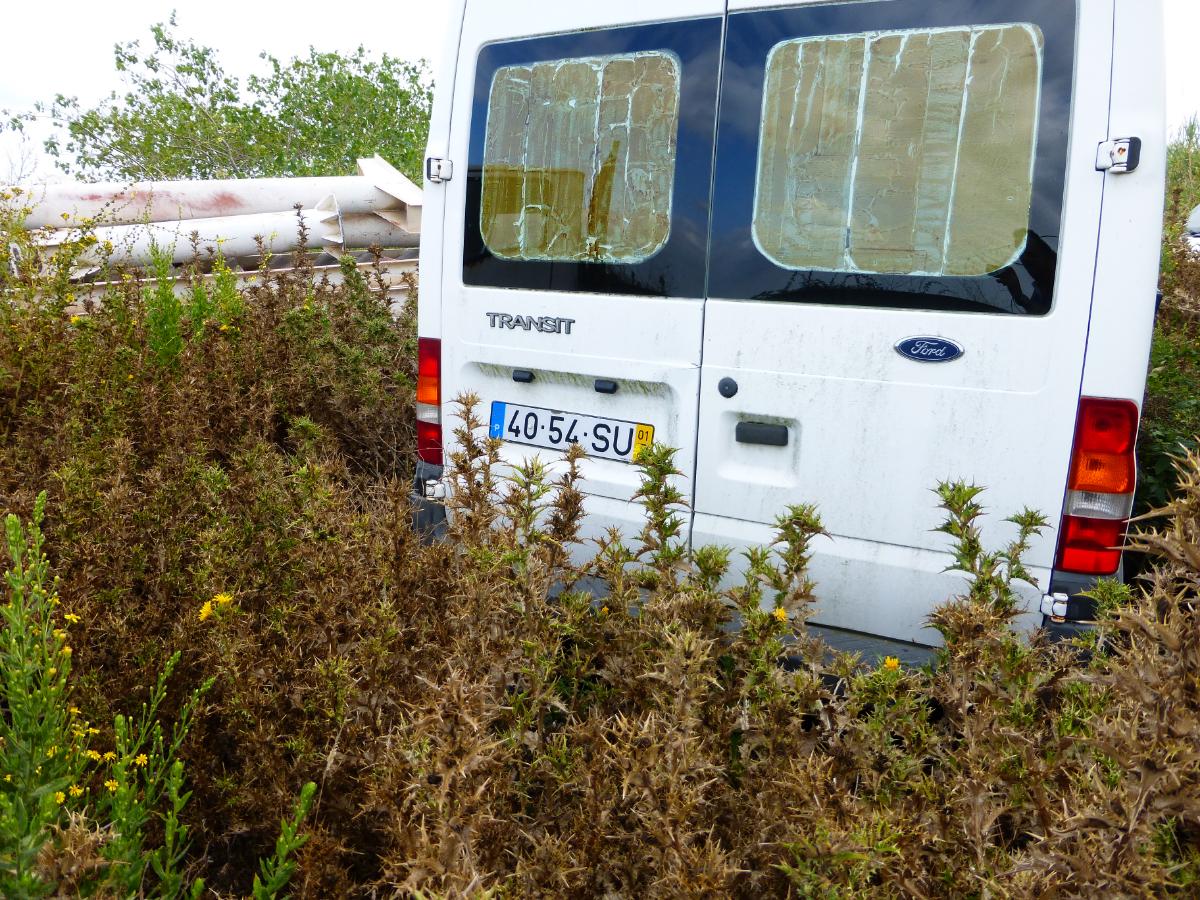 LIGEIRO MERCADORIAS | FORD 