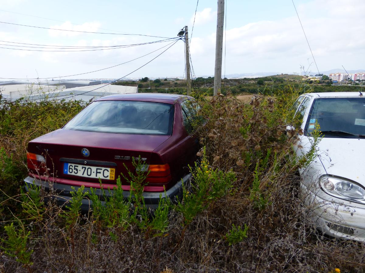 BMW - 318 TDS  | 1995