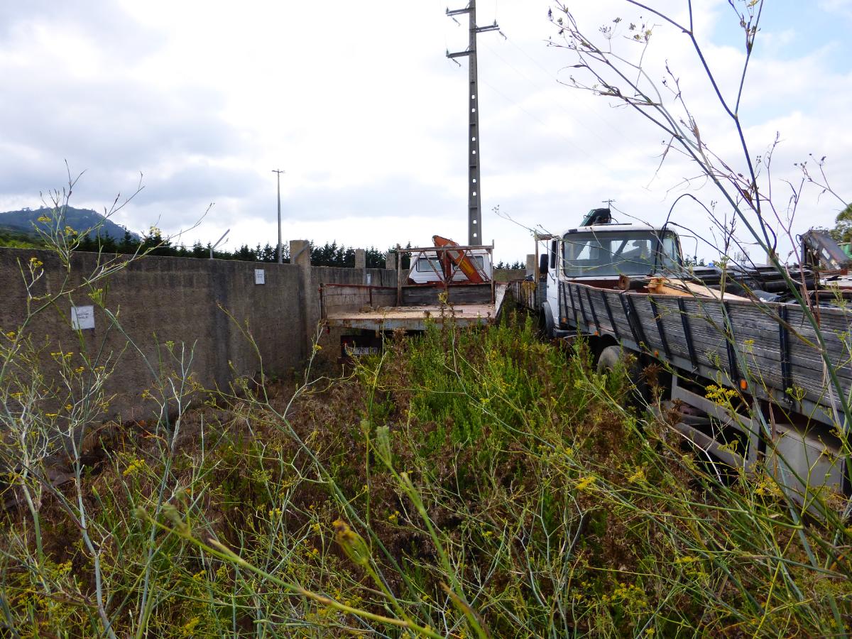 PESADO MERCADORIAS | MERCEDES-BENZ 